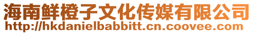 海南鮮橙子文化傳媒有限公司