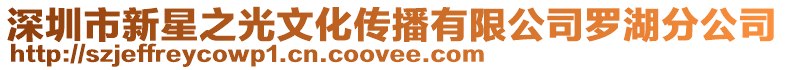 深圳市新星之光文化傳播有限公司羅湖分公司