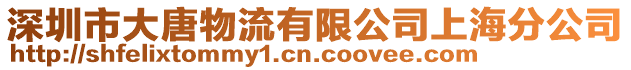 深圳市大唐物流有限公司上海分公司