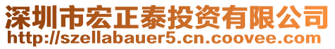 深圳市宏正泰投資有限公司