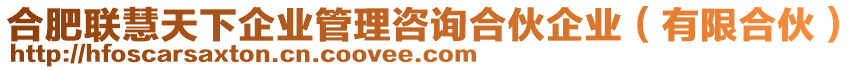 合肥聯(lián)慧天下企業(yè)管理咨詢合伙企業(yè)（有限合伙）