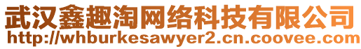 武漢鑫趣淘網絡科技有限公司