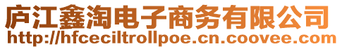 廬江鑫淘電子商務有限公司