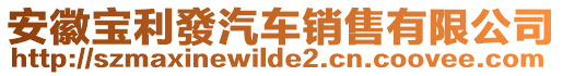 安徽寶利發(fā)汽車銷售有限公司