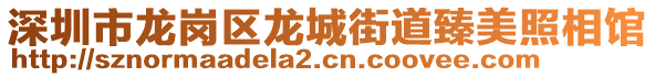 深圳市龍崗區(qū)龍城街道臻美照相館