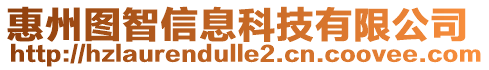 惠州圖智信息科技有限公司