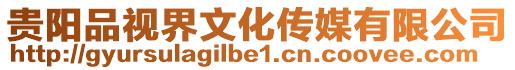 貴陽品視界文化傳媒有限公司