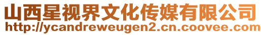 山西星視界文化傳媒有限公司