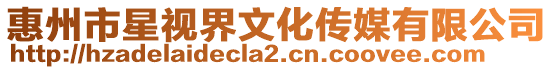 惠州市星視界文化傳媒有限公司