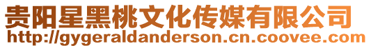 貴陽星黑桃文化傳媒有限公司