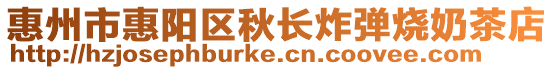 惠州市惠陽區(qū)秋長炸彈燒奶茶店