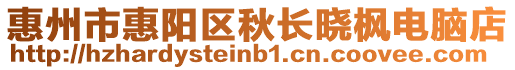 惠州市惠陽區(qū)秋長曉楓電腦店