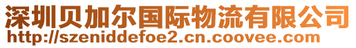 深圳貝加爾國際物流有限公司