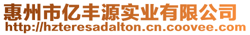 惠州市億豐源實業有限公司