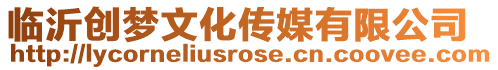 臨沂創(chuàng)夢(mèng)文化傳媒有限公司