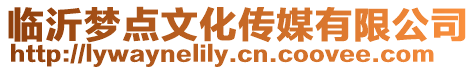 臨沂夢點文化傳媒有限公司