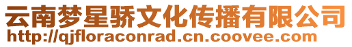 云南夢星驕文化傳播有限公司