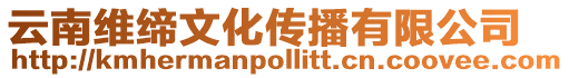 云南維締文化傳播有限公司