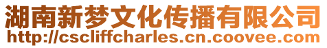 湖南新夢文化傳播有限公司