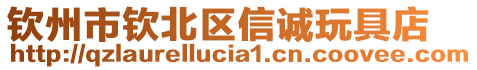 欽州市欽北區(qū)信誠玩具店