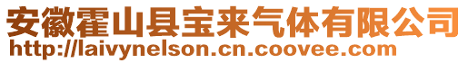 安徽霍山縣寶來氣體有限公司