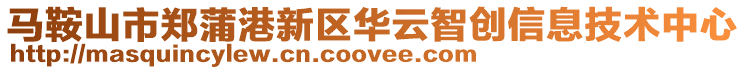 馬鞍山市鄭蒲港新區(qū)華云智創(chuàng)信息技術中心