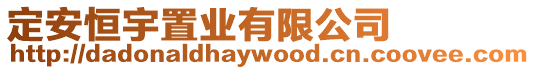 定安恒宇置業(yè)有限公司