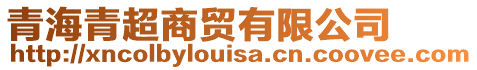 青海青超商貿有限公司