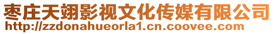 棗莊天翊影視文化傳媒有限公司
