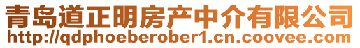青島道正明房產中介有限公司