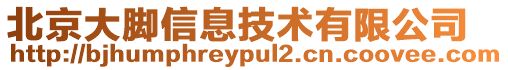 北京大腳信息技術有限公司