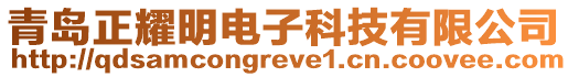 青島正耀明電子科技有限公司