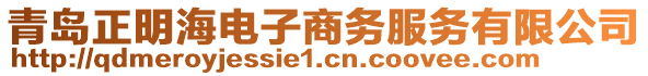 青島正明海電子商務服務有限公司