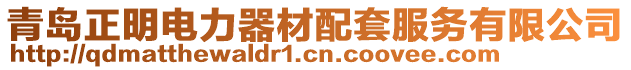 青島正明電力器材配套服務有限公司