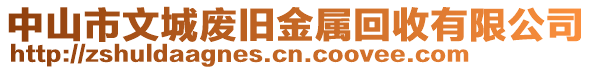 中山市文城廢舊金屬回收有限公司