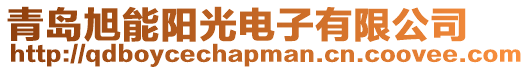 青島旭能陽光電子有限公司