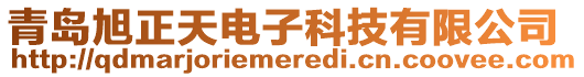 青島旭正天電子科技有限公司