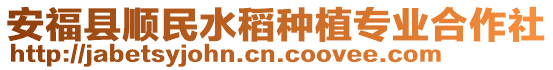 安福縣順民水稻種植專業合作社