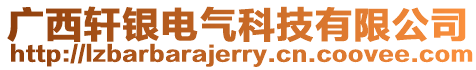 廣西軒銀電氣科技有限公司