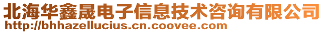 北海華鑫晟電子信息技術咨詢有限公司