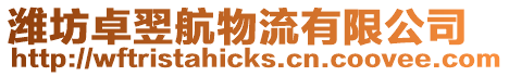 濰坊卓翌航物流有限公司