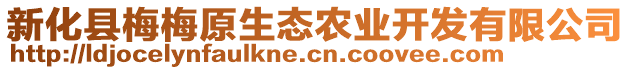 新化縣梅梅原生態農業開發有限公司