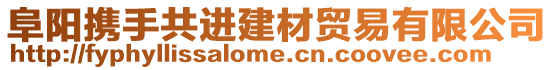 阜陽攜手共進建材貿易有限公司