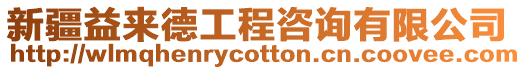新疆益來德工程咨詢有限公司