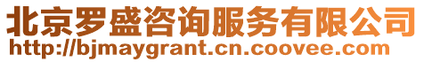 北京羅盛咨詢服務有限公司