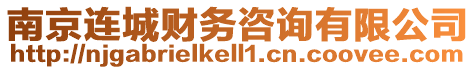 南京連城財務(wù)咨詢有限公司