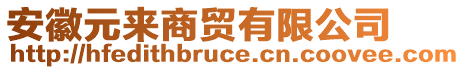 安徽元來商貿(mào)有限公司