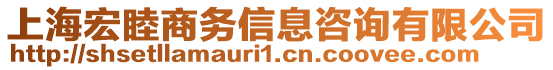 上海宏睦商務(wù)信息咨詢有限公司