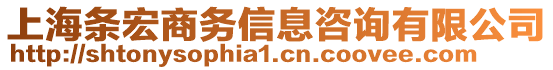 上海條宏商務信息咨詢有限公司