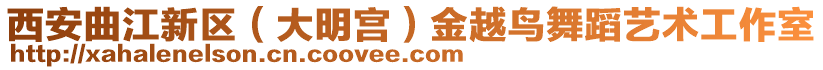 西安曲江新區(qū)（大明宮）金越鳥舞蹈藝術(shù)工作室